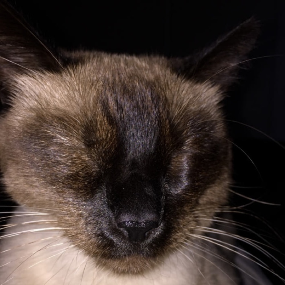 Meet your Posher, Ali