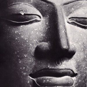 Meet your Posher, Dan