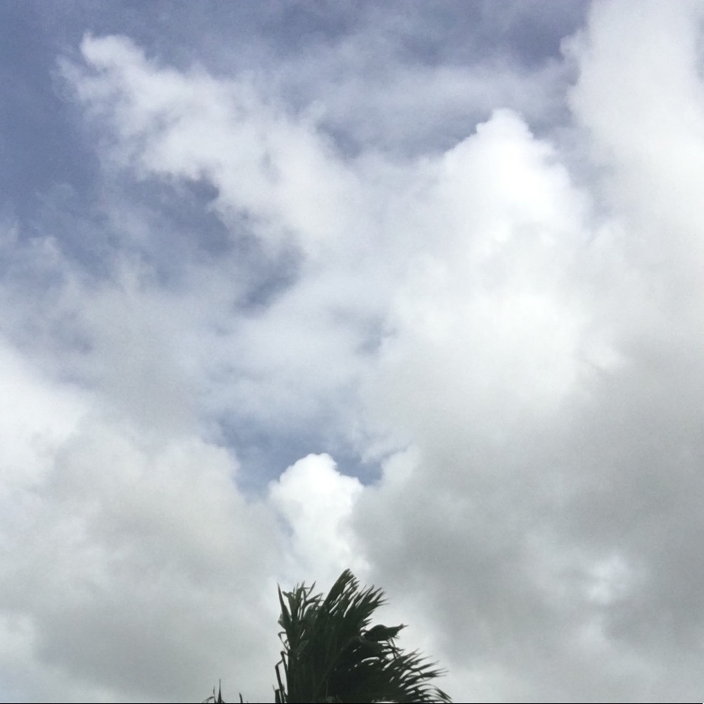 Meet your Posher, Angelina