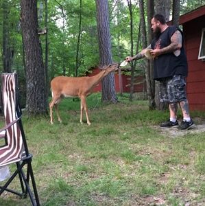 Meet your Posher, Luis