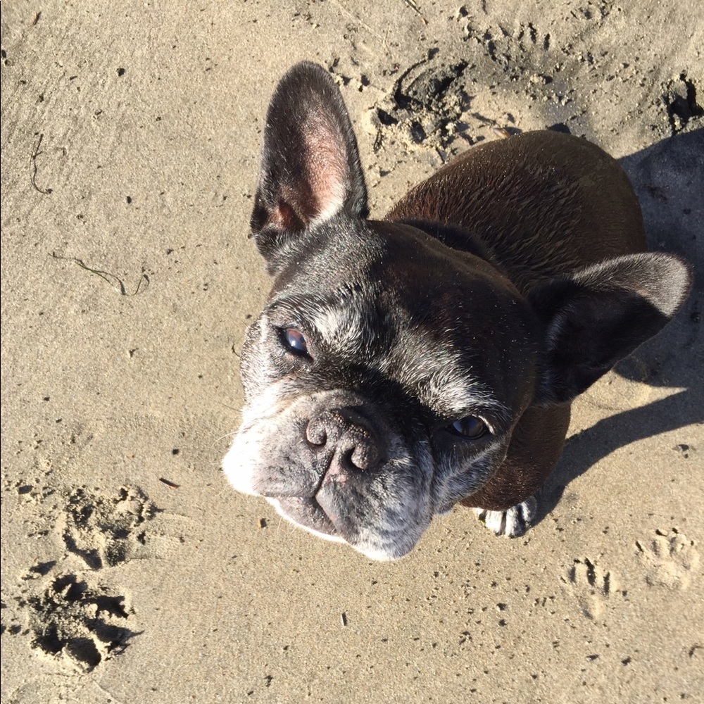 Meet your Posher, Hillary