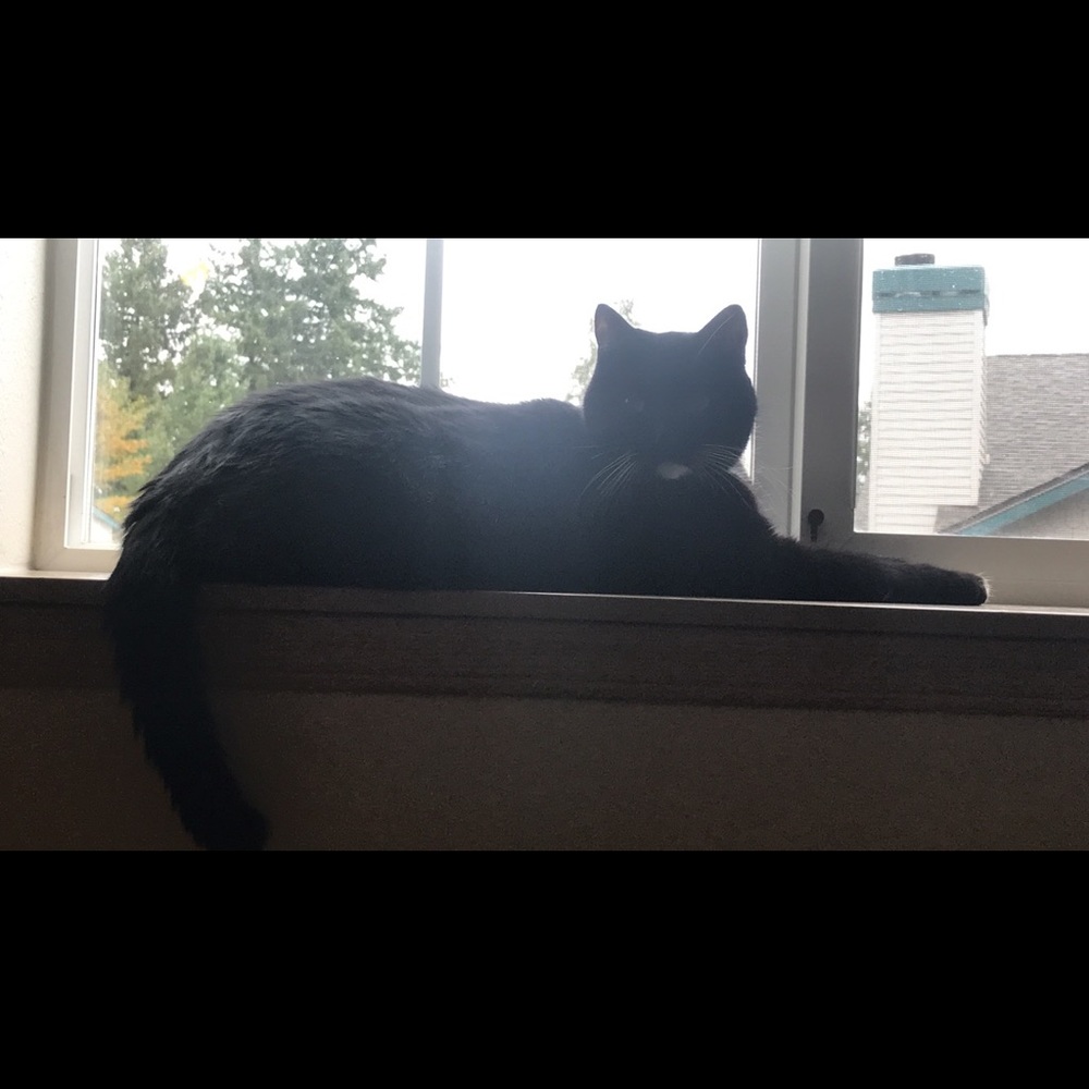 Meet your Posher, Randi