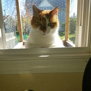 Meet your Posher, Dylan