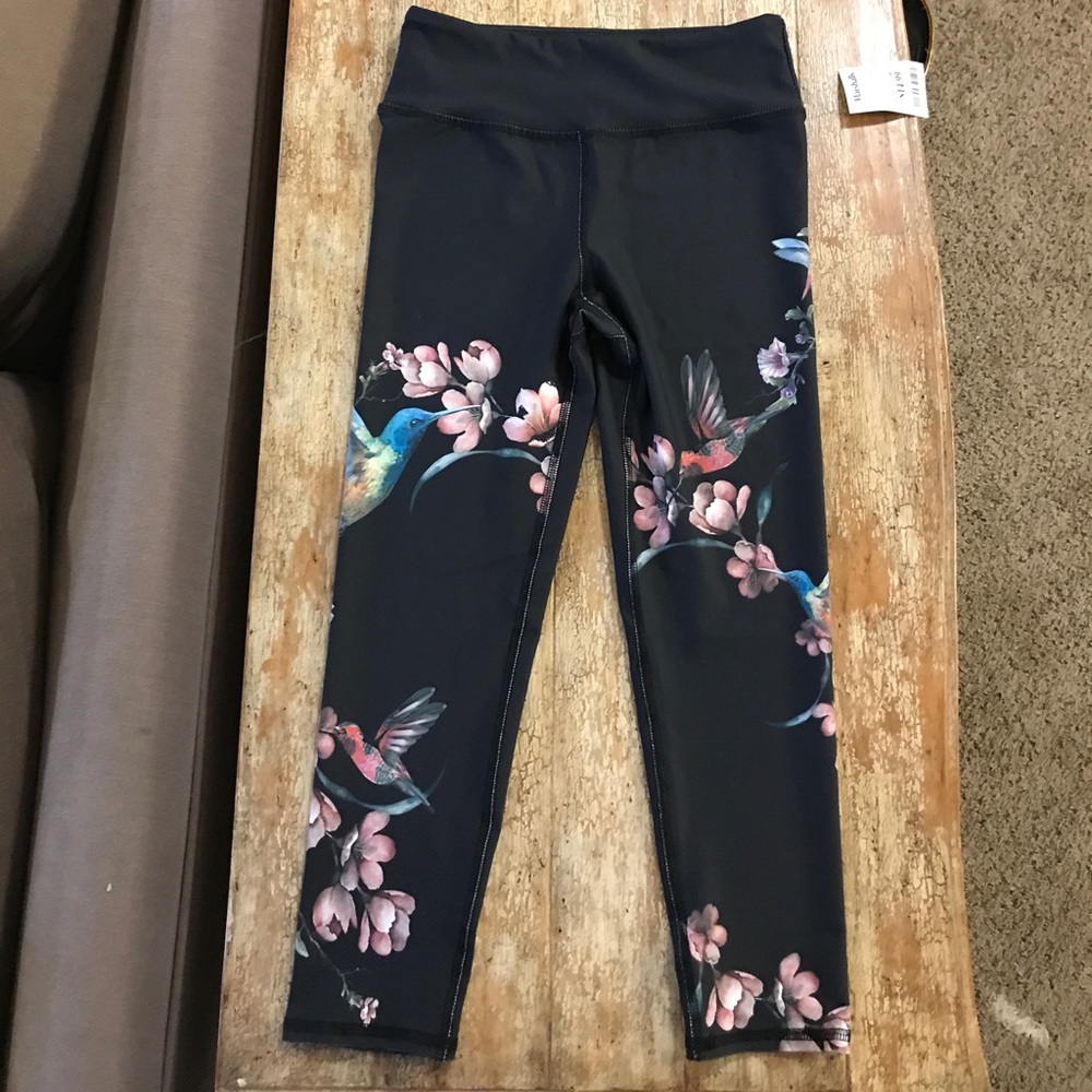 Evolution and Creation activewear
