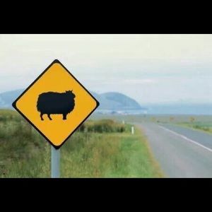 Meet your Posher, Veronica