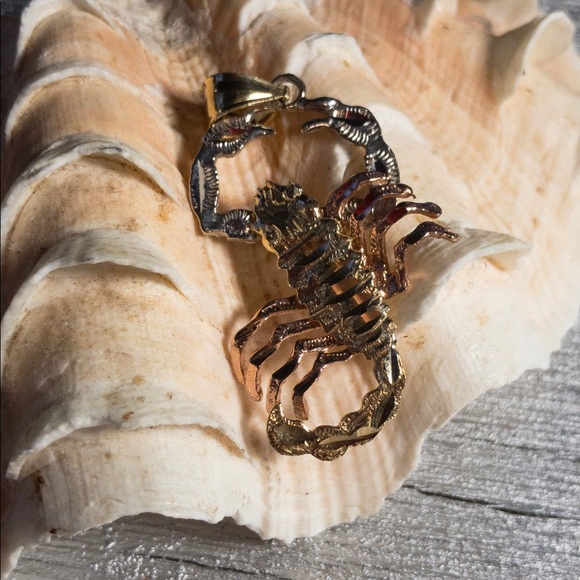 Scorpion is in the house! 14k