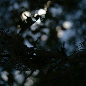 Meet your Posher, Colton