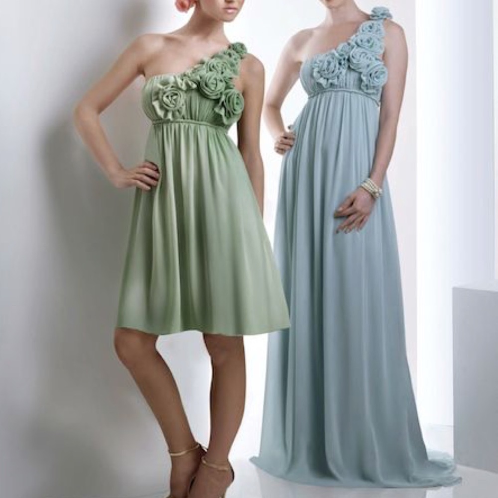 Bari Jay Sheath Chiffon One Shoulder Strap gown