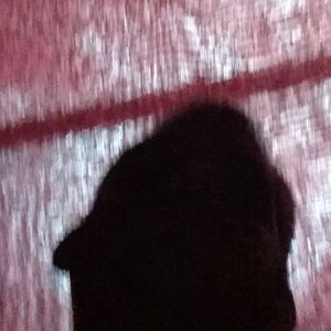 Meet your Posher, Benny