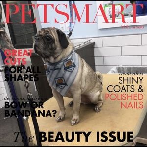 Meet your Posher, Andrea