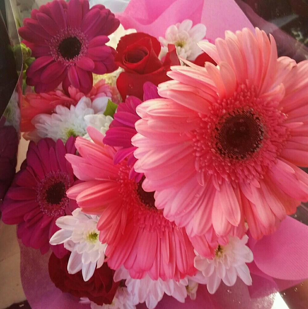 Meet your Posher, Vanessa