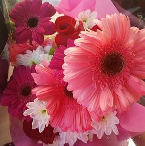 Meet your Posher, Vanessa