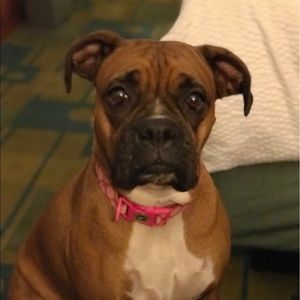 Meet your Posher, Valerie