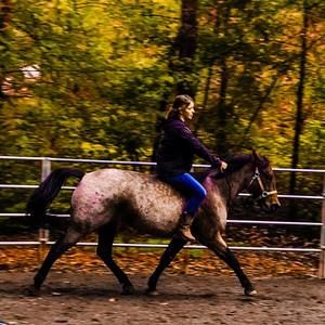 Meet your Posher, Sam