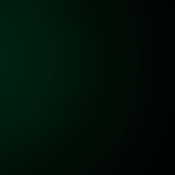 Meet your Posher, Zayda - Picture 1 of 1