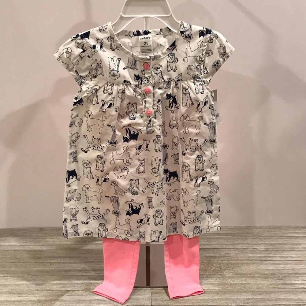 Carter's 2 piece outfit