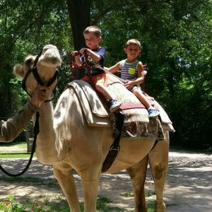 Meet your Posher, Josette