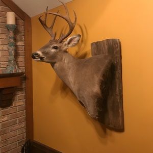 Meet your Posher, Keith