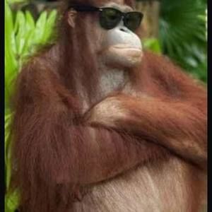 Meet your Posher, Sean