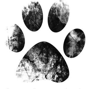 Meet your Posher, Adrian dupree