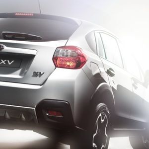 Meet your Posher, Hector