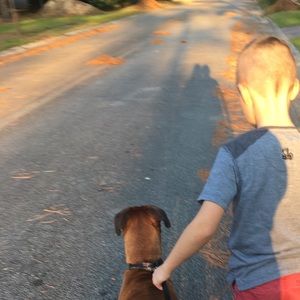 Meet your Posher, Bobbie