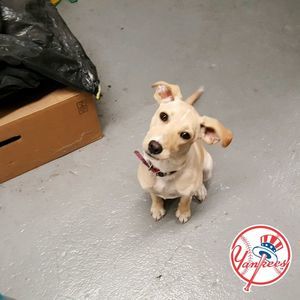 Meet your Posher, Angela