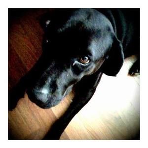 Meet your Posher, Travis