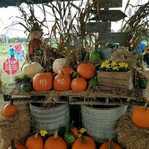 Meet your Posher, Michele