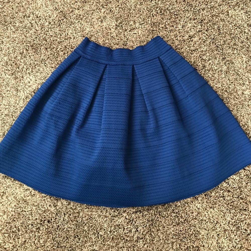 Blue Express Skirt