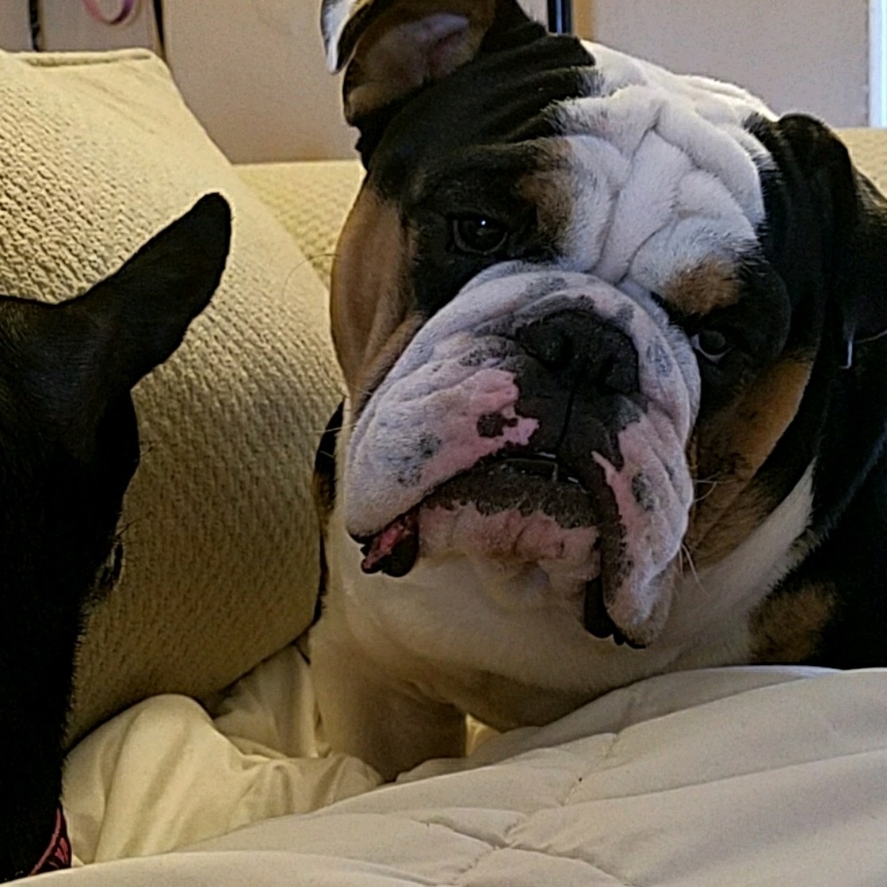 Meet your Posher, Heather