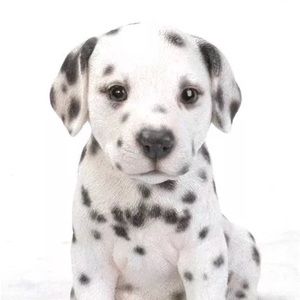 Meet your Posher, Roberto