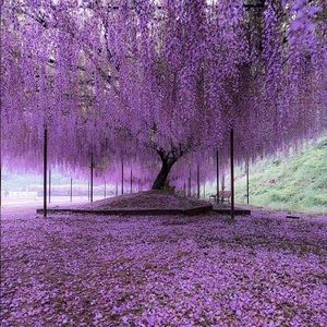 Meet your Posher, Beverly