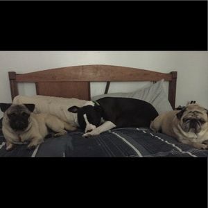 Meet your Posher, Elke