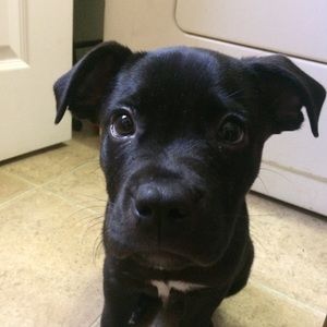 Meet your Posher, Jared