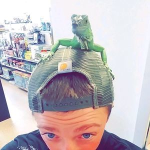 Meet your Posher, Chance