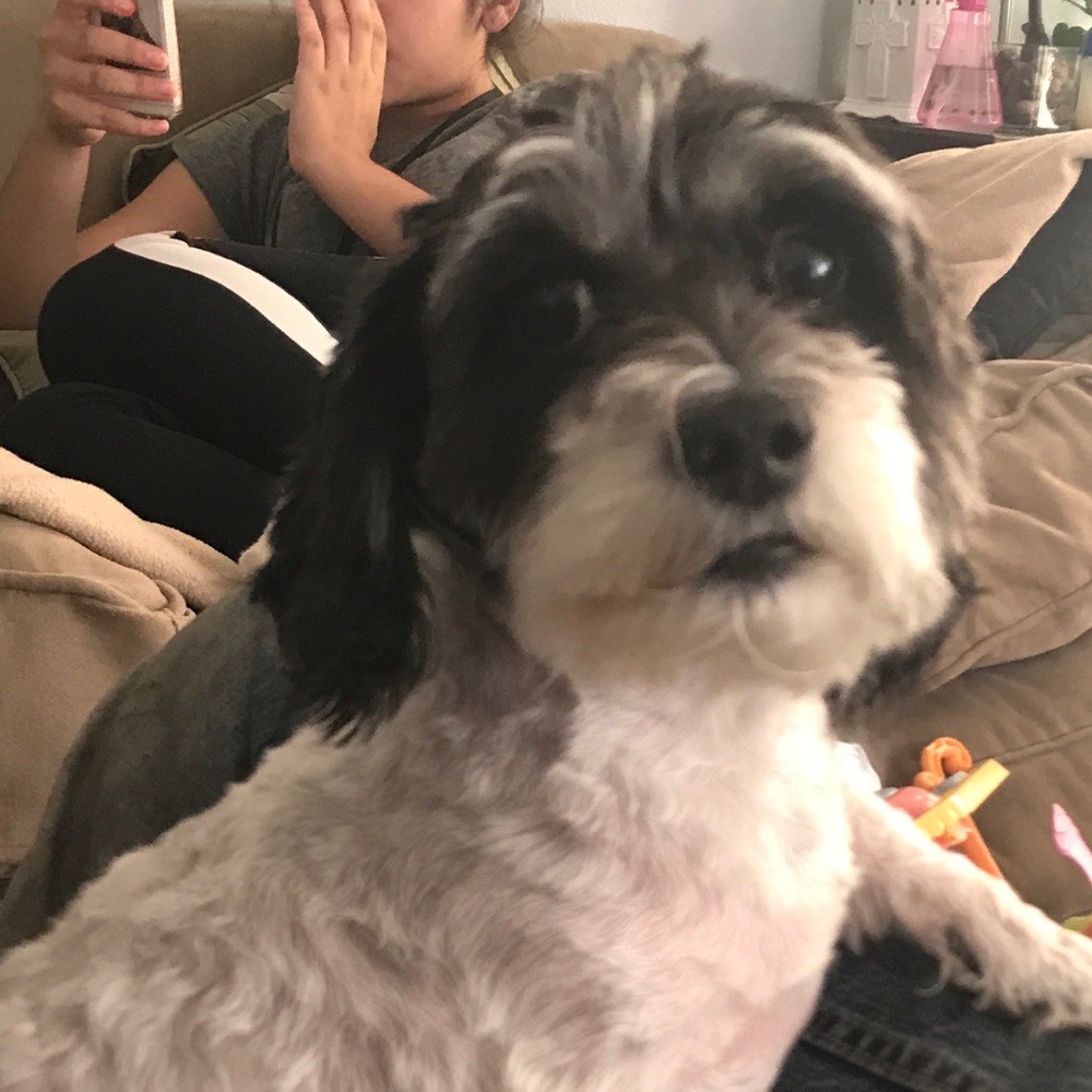 Meet your Posher, Edith