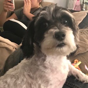 Meet your Posher, Edith