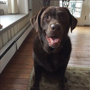 Meet your Posher, Catherine