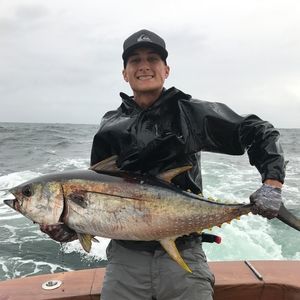 Meet your Posher, Grady