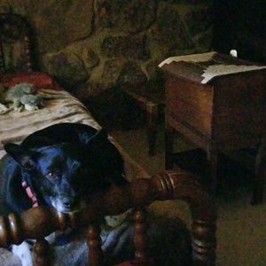 Meet your Posher, Debbie