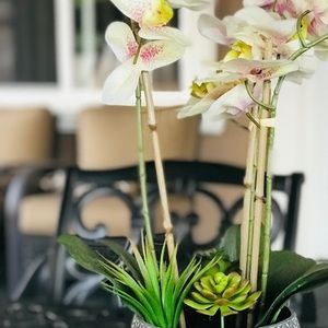 Meet your Posher, George