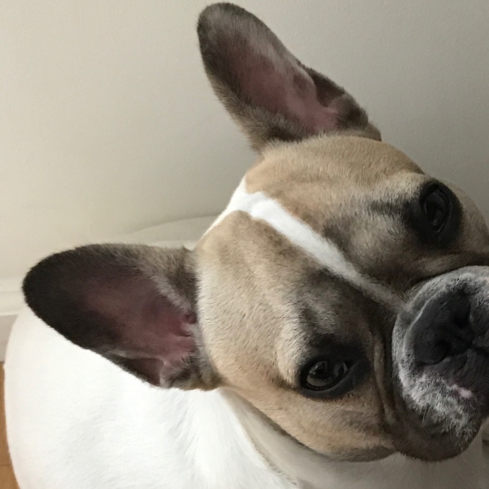 Meet your Posher, Yuchen