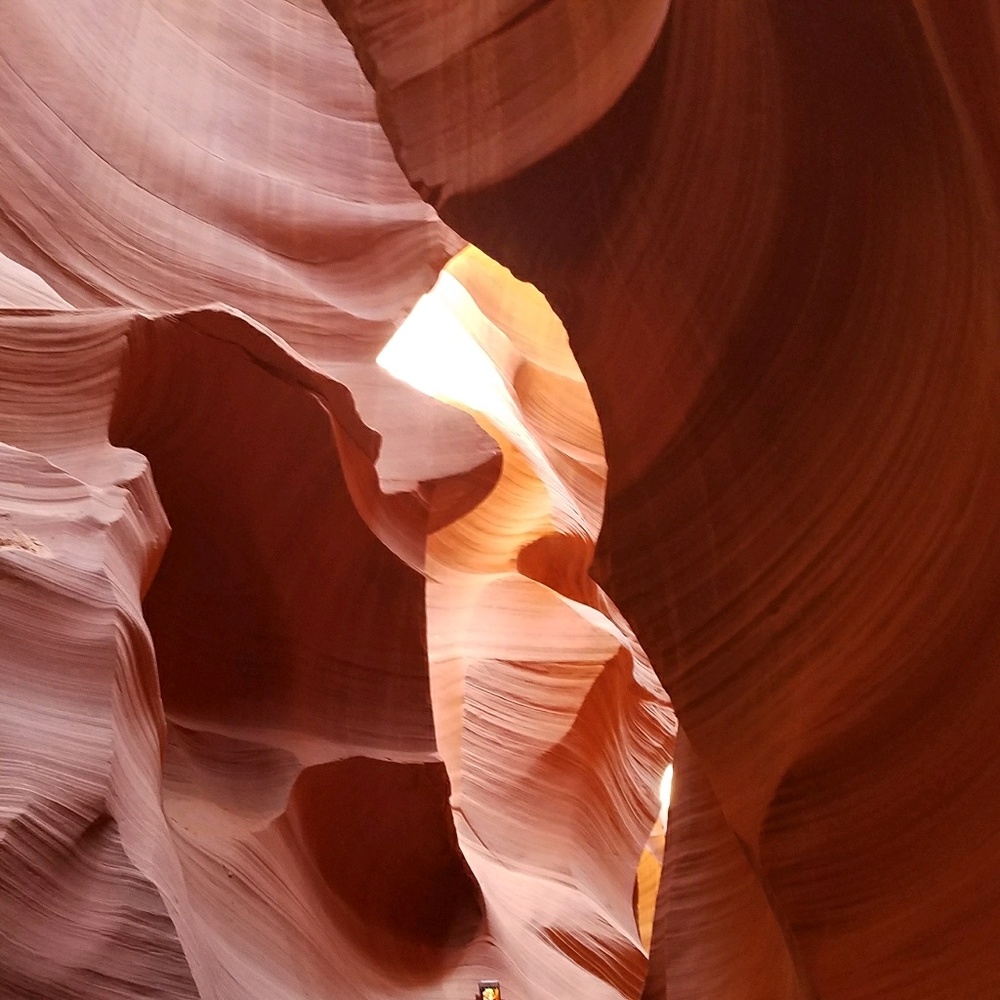 Meet your Posher, Lelia