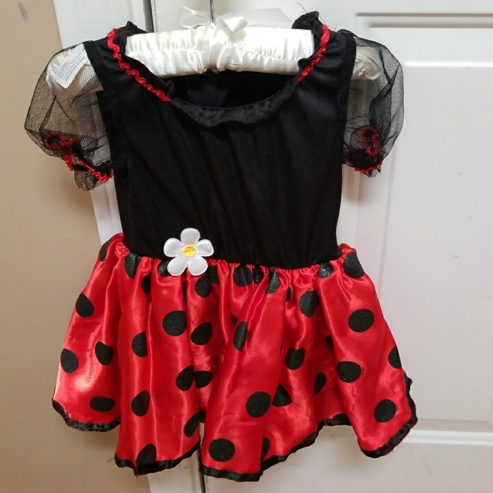 Ladybug Dress/Costume Size 12 months.