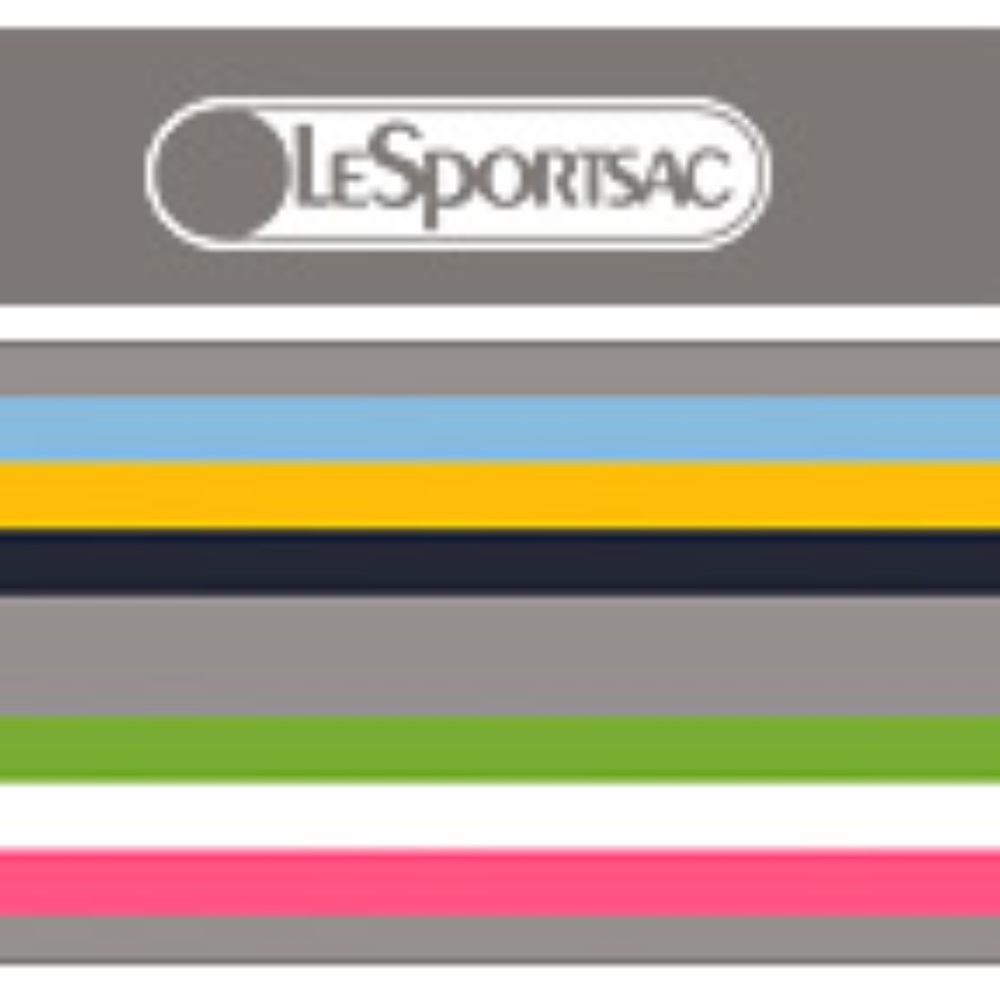 WTB: LeSportsac Twizzle Stripe Items
