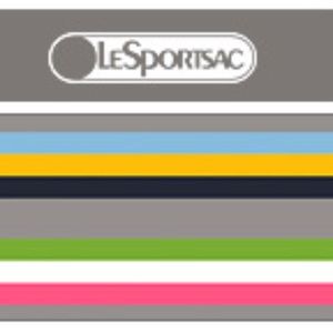 WTB: LeSportsac Twizzle Stripe Items