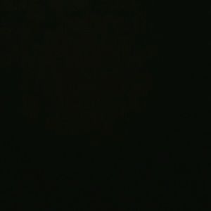 Meet your Posher, Lili