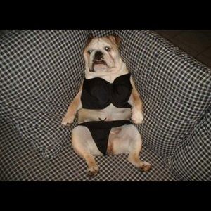 Meet your Posher, Jack