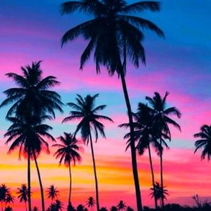 Meet your Posher, Tommy